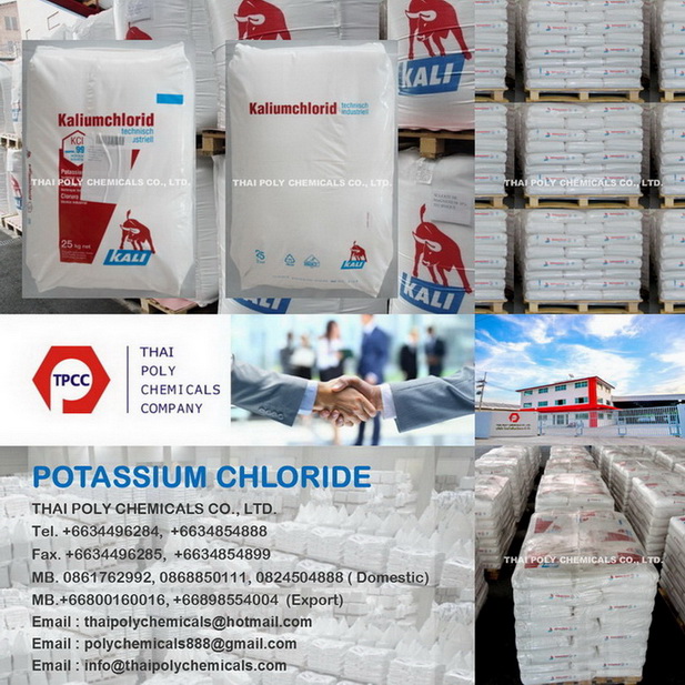 โพแทสเซียมคลอไรด์, โปแตสเซียมคลอไรด์, KCL KALI, Potassium Chloride, Potassium Chloride KALI, Potassium Chloride Price 