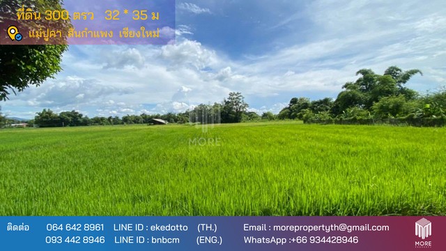 พื้นที่ดิน -สันกำแพง   ใหญ่ 0 RAI 3 ngan 0 ตาราง-วา 1650000 บ. ไม่ไกลจาก -สันกำแพง  ทำเลศักยภาพ เชียงใหม่   