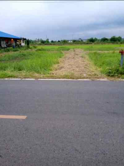 ขายที่ดิน 2 แปลง ติดถนน ทำเลดี เดินทางสะดวก ปทุมธานี