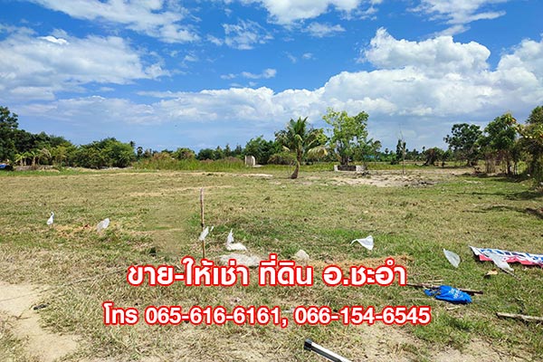ขาย ที่สวย 3 ไร่ ที่ดินเปล่า ชะอำ เพชรบุรี ใกล้หัวหิน