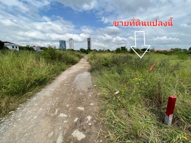 ขายที่ดิน 200 ตร.ว ซอยวัดปลัดเปรียง ถนนบางนาตราด ต.บางแก้ว อ.บางพลี สมุทรปราการ ใกล้ห้างเมกะบางนา