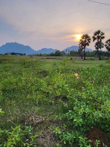 ขายที่ดินชะอำ เพชรบุรี 13-0-191 ไร่ วิวภูเขา ใกล้อุทยานนางพันธุรัตน์ ไม่ไกลหาดชะอำ  เดินทางสะดวก 