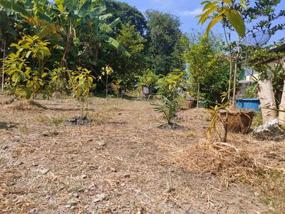 ขายที่ดินเปล่า 136 ตรว. ใจกลางเมือง (ซ.ลาดปลาเค้า 76) เขตบางเขน ก