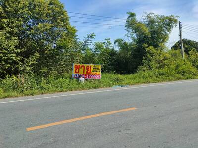 ขายที่ดินเปล่า 2-0-92 ไร่ ติดถนนทางหลวง 3351 อ.บางปลาม้า จ.สุพรรณ