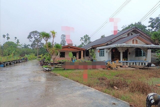 ขายบ้านเดี่ยว   อำเภอบ้านนาสาร  สุราษฎร์ธานี (PKK02-15108)