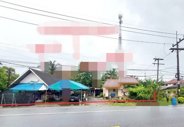 ขายบ้านเดี่ยว   อำเภอท่าชนะ สุราษฎร์ธานี (PKK02-15376)