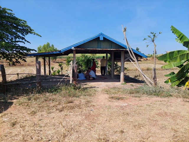 ขายที่ดินเกษตรสำหรับเป็นบ้านสวนปลูกผลไม้ หรือสินค้าเกษตร อ.กุมภวาปี จ.อุดรธานี