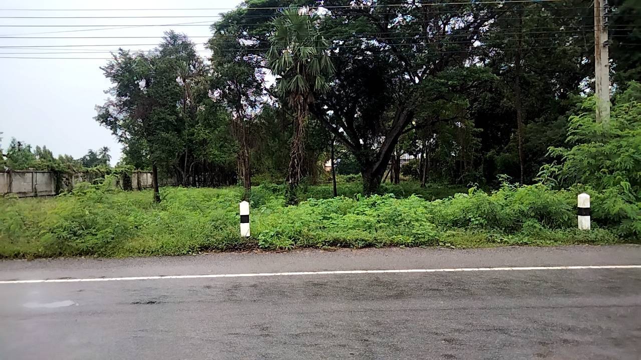 ขายที่ดินติดแม่น้ำท่าจีน 2 ไร่ อ เดิมบางนางบวช สุพรรณบุรี