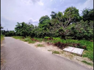 ขายที่ดิน3งาน 1.65ล. สวนลำไย แดนเมือง ต.อุโมงค์ เมือง ลำพูน