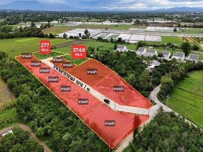 ขายที่ดินเริ่ม277ว. 1.8ล. สาธารณูปโภค บวกค้าง สันกำแพง เชียงใหม่