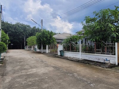 ขาย บ้านเดี่ยว พรรณนี ปลวกแดง