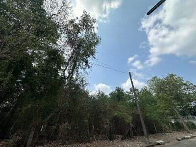 ขายที่ดินติดทะเลสาบ รังสิตเมืองเอก แปลงสวยลมเย็นตลอดปี