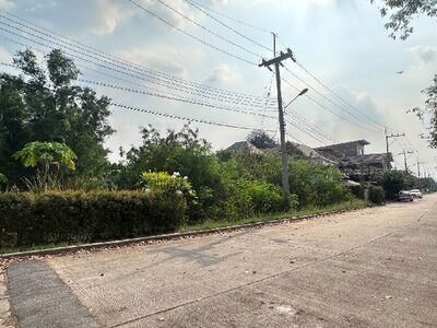 ขายที่ดิน 2 งาน 25 ตรว ท่าข้าม (ศรีษะกระบือ) บางขุนเทียน กรุงเทพฯ