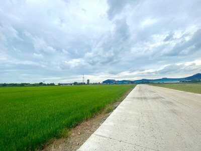 ขายที่ดิน 15 ไร่ หน้ากว้าง ผังม่วง  อ.เมือง ฉะเชิงเทรา