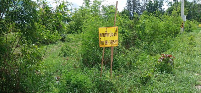 ขายที่ 16 ไร่ ติดถนน 4 เลน บ้านโพธิ์-แปลงยาว (สาย 3304) อ.บ้านโพธิ์ จ.ฉะเชิงเทรา