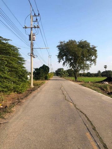 ขายที่สวยติดถนนดำถนนทางหลวงชนบทเมนใหญ่ใกล้ชุมชน 5ไร่  อำเภอลาดหลุมแก้ว ปทุมธานี ลาดหลุมแก้วไร่ละ 1ลบ. โทร 083-7124115