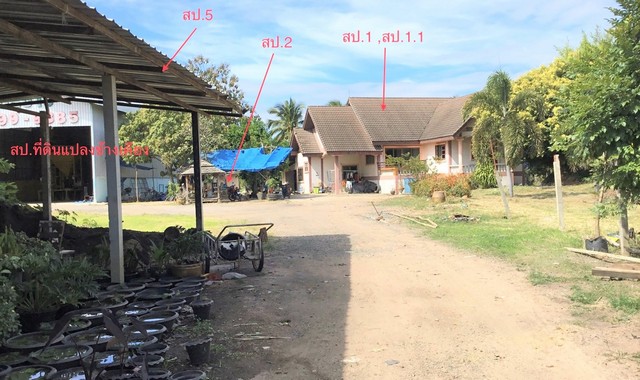ขายบ้านเดี่ยวชั้นเดียว ใกล้โรงพยาบาลโนนแดง อ.คง จ.นครราชสีมา  PKK02-10200