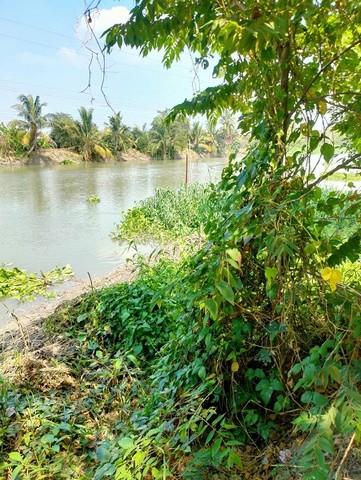 ขายที่ดิน 5 ไร่ พร้อมบ้าน  ติดคลองโยง ตำบลมหาสวัสดิ์  อำเภอพุทธมณทล  จังหวัดนครปฐม