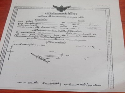 ขายที่ดินบ้านนาดูนน้อย อำเภอเมือง จังหวัดอุบลราชธานี
