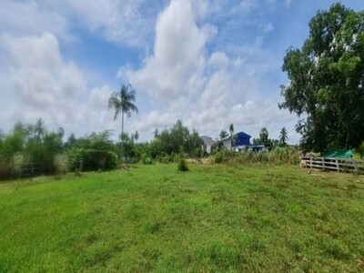 ขายที่ดินห้วยใหญ่ พัทยา บางละมุง ชลบุรี 