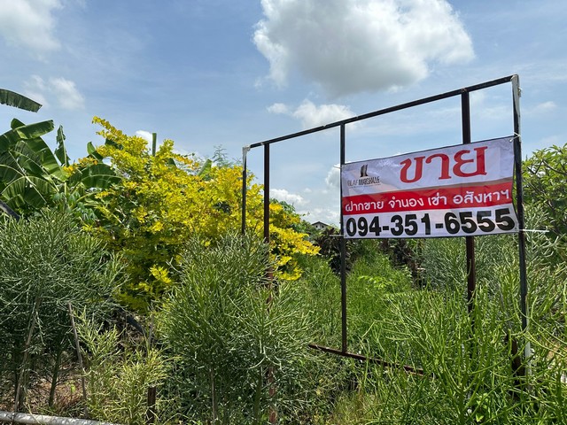 ให้เช่าระยะยาว ที่ดินเปล่าถมแล้ว ซ.เพชรเกษม 102/4 : 1-2-70 ไร่, กว้าง 40 ม. ลึก 69 ม.