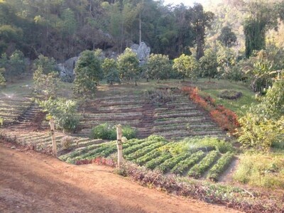 ขายที่ดิน8ไร่84ว. 8ล. ติดถนนหางดง-สะเมิง ต.บ้านปง หางดง เชียงใหม่