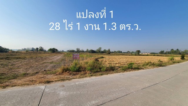 ขายด่วนที่ดิน  28 ไร่ 1 งาน 1.3 ตารางวา ตำบลหนองหงส์ อำเภอพานทอง จังหวัดชลบุรี