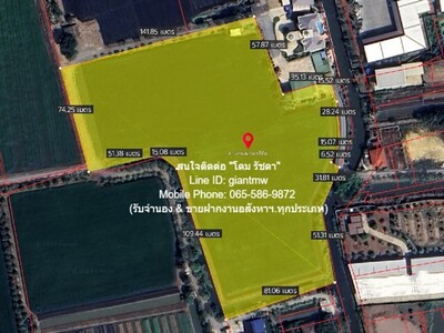 ขายที่ทุ่งนา & สวนเกษตร ใกล้วัดต้นเชือก บางใหญ่ นนทบุรี 13-0-68.6