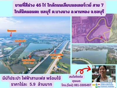 ขายที่สีม่วง 46 ไร่ ใกล้ถนนเลียบมอเตอร์เวย์ สาย 7 อ.พานทอง จ.ชลบุ