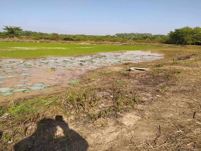 ที่ดินติดน้ำ! บ้านจันทน์ บ้านดุง อุดรธานี แปลงใหญ่ 4 ไร่ 2 งาน 8 