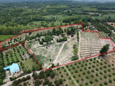 ขายที่ดินราคาถูก เชียงใหม่ 29 ไร่ ติดถนนลาดยาง สวนทุเรียน–อาโวคาโ