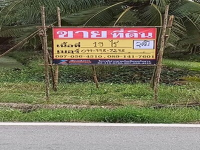 ขายที่ดินสวนมะพร้าว 19 ไร่  ถนนดำ บ้านแพ้ว ซอยทุ่งเศรษฐี   สมุทรส