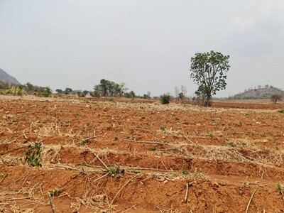 บอกขายที่ดินดีทำเลเหมาะน่าซื้อเก็บ ขาย/เช่า ที่ติดภูเขาเมืองนครสว