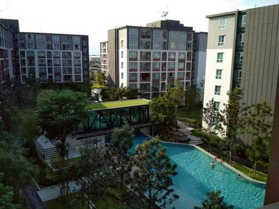 Dcondo Ping  ขนาด 30 ตร.ม. วิวสระน้ำ ตกแต่งสวย 