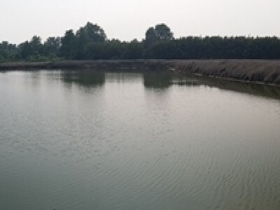 ขายที่ดินว่างเปล่ามือสอง  เขตบางขุนเทียน กรุงเทพมหานคร