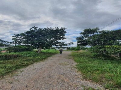 ขายที่ดินเปล่าพุนพิน เขาหัวควาย ทำเลดี เข้าออกได้ 2 เส้นทาง