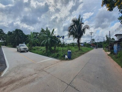 ขายที่ดินเปล่าพุนพิน เขาหัวควาย ทำเลดี เข้าออกได้ 2 เส้นทาง