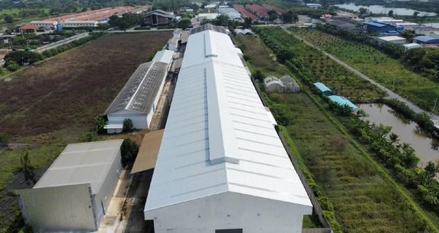  ให้เช่าโรงงานโกดัง  18,000 ตรม ที่ดิน 15 ไร่ ย่านบางใหญ่ ไทรน้อย นนทบุรี