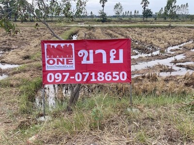ขายด่วนที่ดินเปล่า อ.โนนแดง เนื้อที่ 11 ไร่ 93 ตร.ว. เพียง 1.1 ลบ