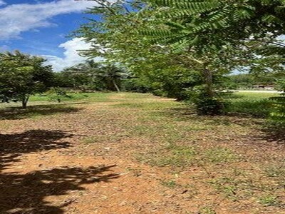 ขายที่ดินเชียงคาน 3 ไร่ ติดถนน–ติดริมน้ำโขง ทำเลหายาก วิวหลักล้าน