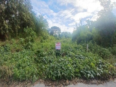 ขายที่ดินเชียงคาน ทำเลทอง ติดถนนริมน้ำโขง ใกล้แก่งคุ้ดคู้ เพียง 5