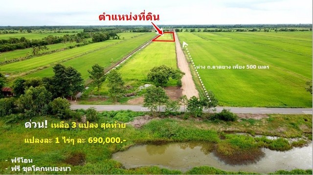 บ้านสวนคูณรัก อ.บ้านนา นครนายก แปลงละ 1 ไร่  ไร่ละ 690,000 บาท เท่านั้น