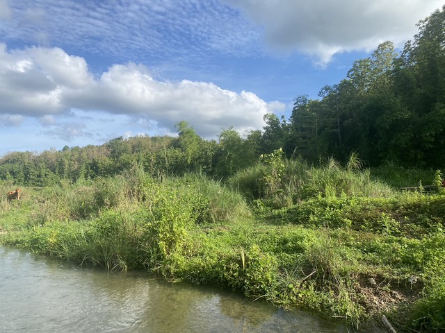 ทรัพย์ที่ เจ้าของขายเองไม่ผ่านนายหน้า  ที่สวยวิวล้าน 800000บาท 3-0-35ไร่ อำเภอสันติสุข น่าน