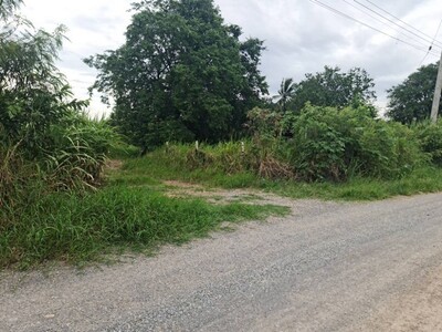 จากใจคนขายถึงใจผู้ซื้อ ขายที่ปากช่อง 2-8ไร่ โฉนด ต.วังไทร ไร่ละ 2