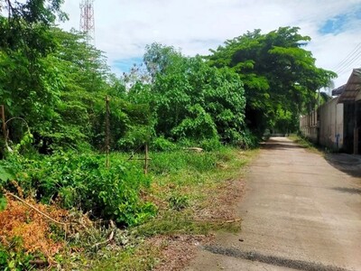 ขายที่ดิน ซอยท่ามะนาว 15 ถนนท่ามะนาว  