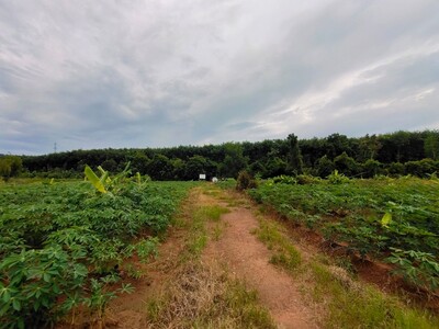 ขายที่ดินจันทบุรีแปลงใหญ่ 171.5 ไร่ จันทบุรี