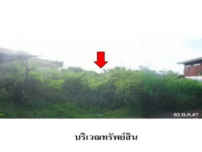 ขายที่ี่ดินว่างเปล่า ต.สว่างแดนดิน อ.สว่างแดนดิน จ.สกลนคร