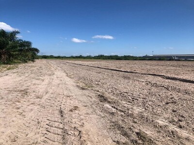 ขายที่ดินบ้านบึงชลบุรี ที่ดิน 49-3-38.1 ไร่