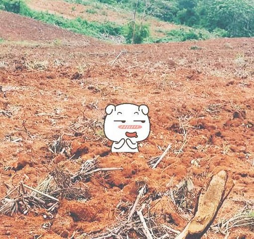 ร่ำรวยมั่งดีเลือกหาซื้อทรัพย์ดีที่ทีมงานขอเสนอ  ขาย ธรรมชาติเนินเขา ที่ดินโฉนดแบ่งขาย สวยๆ ท่ามกลางธรรมชาติหล่มเก่า ดินดีทำเกษตรงาม  ที่ดินดีสมบูรณ์ หล่มเก่า เพชรบูรณ์ ใกล้ภูทับเบิก โทร 0968821857