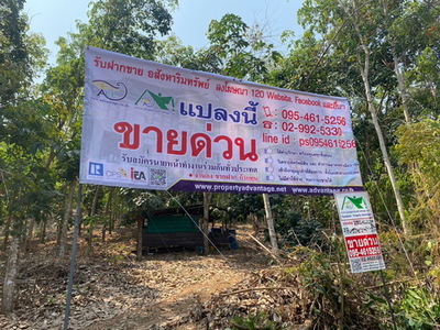 ขายที่ดินสวนยาง 40-1-39 ไร่ วิวแม่น้ำโขง - จังหวัดหนองคาย